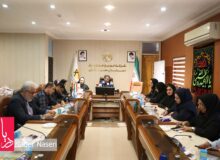 نشست خبری توزیع برق هرمزگان به مناسبت روز خبرنگار