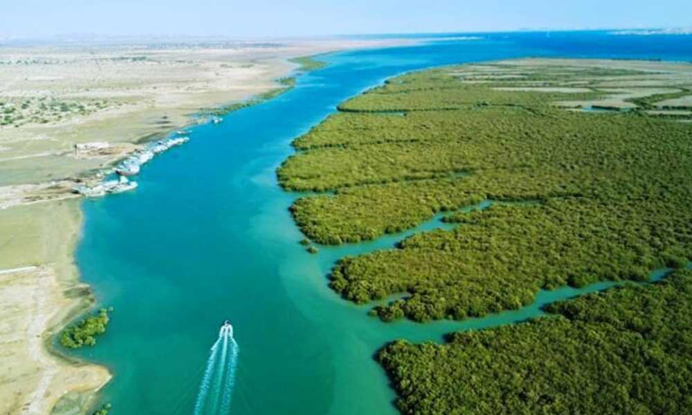 درآمدزایی از «گردشگری تالابی»