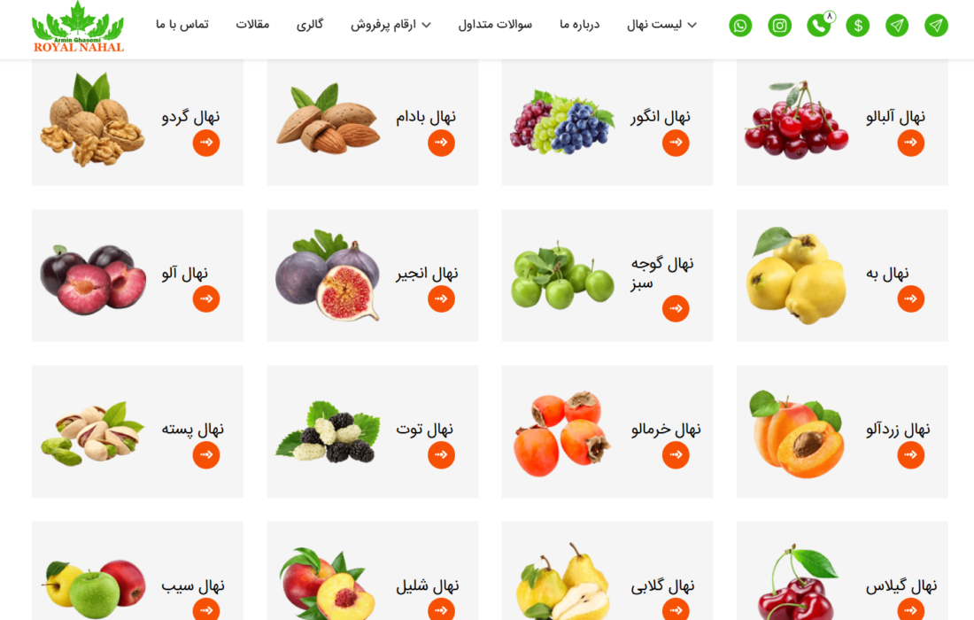 رویال نهال: خرید نهال میوه با قیمت مناسب و ارسال سریع