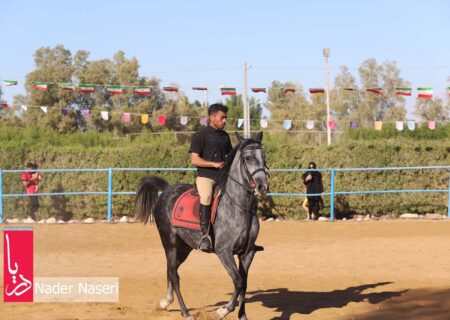 سومین جشنواره شوسواره استان هرمزگان