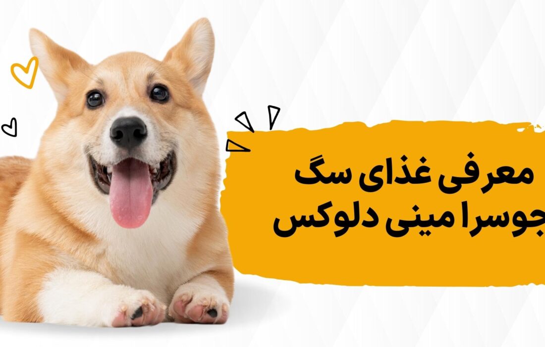 8 اتفاقی که بعد از خوردن غذای جوسرا مینی دلوکس برای سگم افتاد!