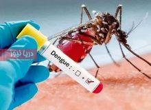 بارش‌های پاییزی، فرصت طلایی پشه آئدس