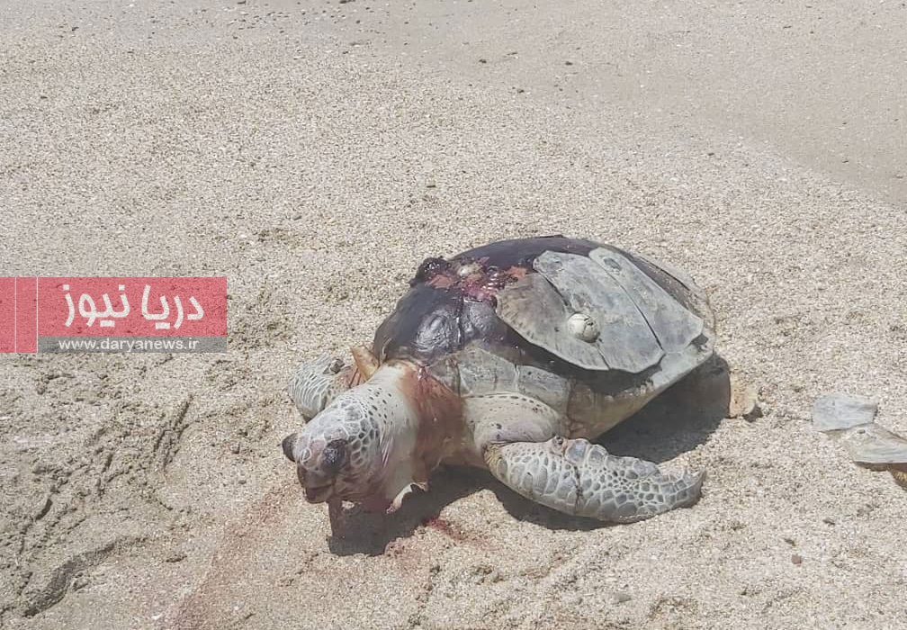 دریـا زیـر تیـغ بیقـانـونـی