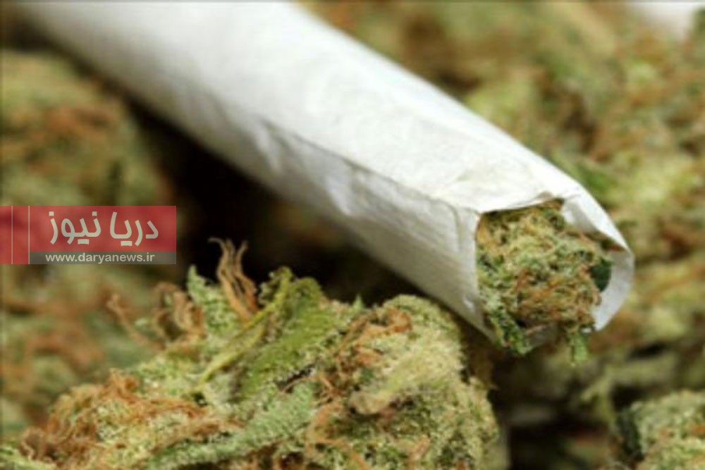 «گل» تفریح نیست؛ لبخندی که بوی ویرانی می دهد