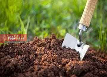 خاک سالم؛ سرمایه‌ای خاموش  برای امنیت غذایی و آینده زمین