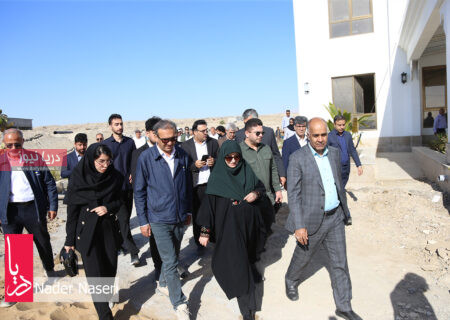 بازدید معاون رییس جمهور و رییس سازمان محیط زیست کشور از تصفیه خانه فاضلاب بندرعباس