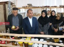 رونمایی از طرح ملی «هزار میدان، هزار بازار» در هرمزگان
