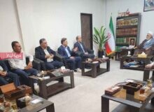 مقابله با فرار مالیاتی جایگزین فشار بر مشاغل خرد شود