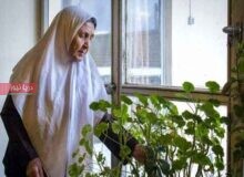 ایران در آستانه سالمندی زودرس
