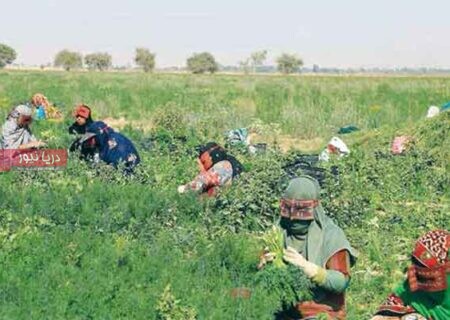 گذر از بحران به پایداری  زره جدید کشاورزی در هرمزگان