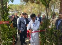 دانشآموزان عشایر هرمزگان؛ روایتگر فرهنگ و توانمندیهای عشایر در اردوی ملی