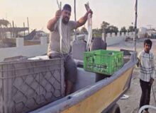 سـوختِ یـاریگـران دریـا