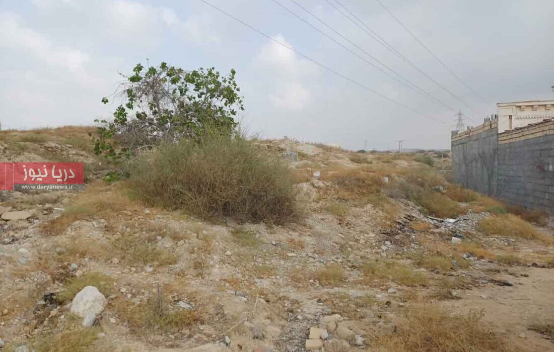 سهم کودکان کجاست؟