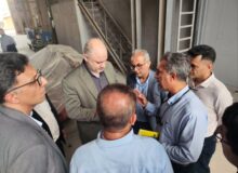 پایمردی نیروگاه خلیج فارس در پایداری شبکه برق کشور