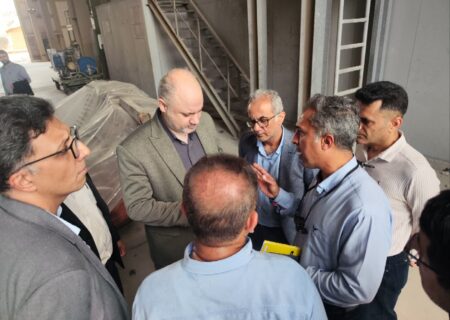 پایمردی نیروگاه خلیج فارس در پایداری شبکه برق کشور