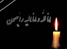 پیام تسلیت سرپرست مدیریت تولید برق خلیج فارس در پی درگذشت والده مکرمه استاندار هرمزگان ‌